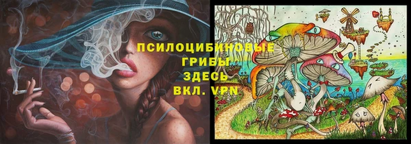 гашик Армянск